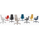 The Asari Chair from Herman Miller among other Asari chairs in the collection.