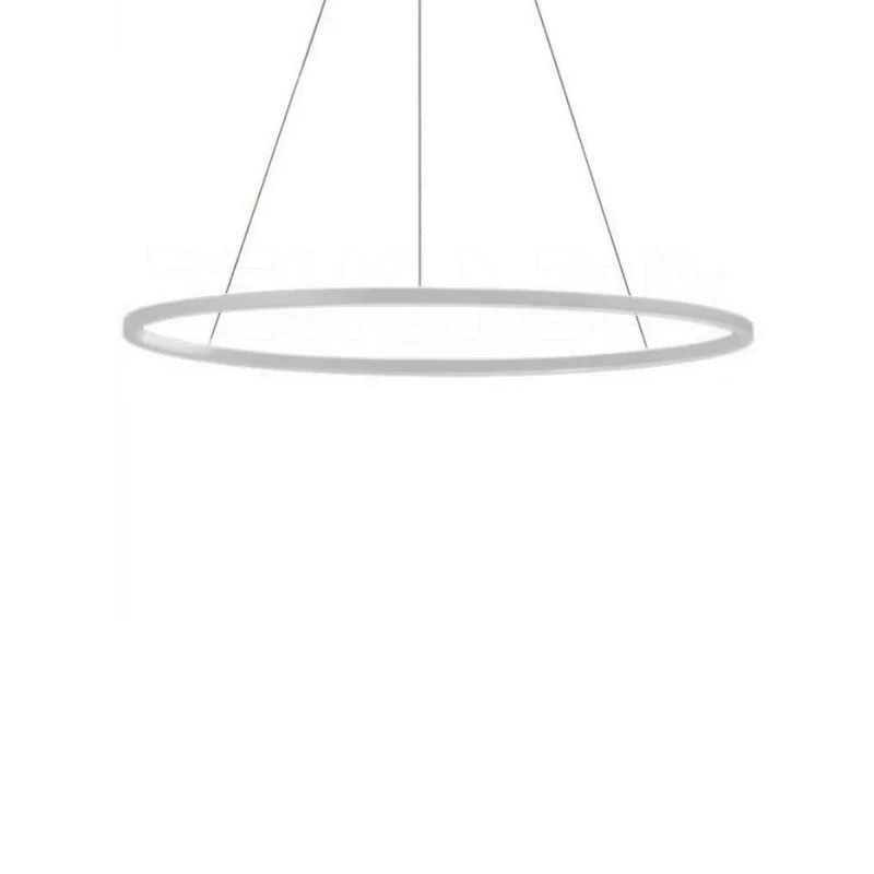 The Ellisse Minor Pendant from Nemo in polished aluminum.